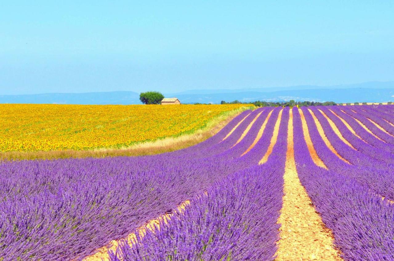 Вілла Ferme St Roch Robion en Luberon Екстер'єр фото